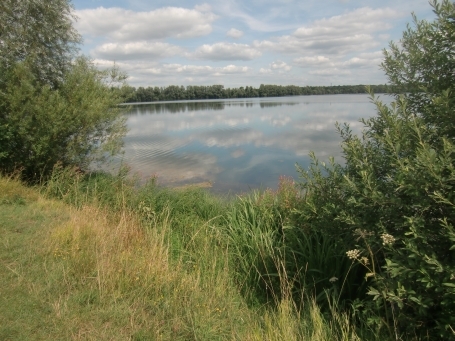 Rees : Reeser Meer